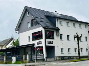 Apartments with a parking space Delnice, Gorski kotar - 21611